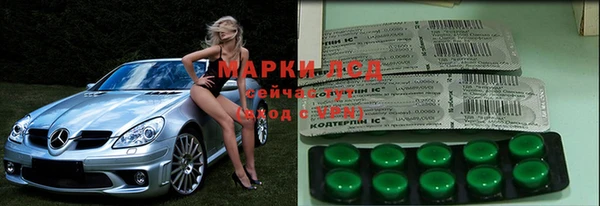 прущие грибы Алексеевка
