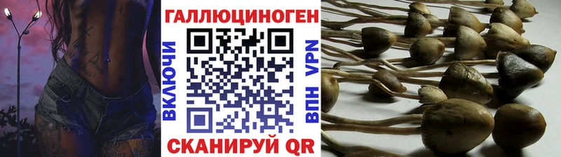 гидра сайт  Поворино  Галлюциногенные грибы прущие грибы 